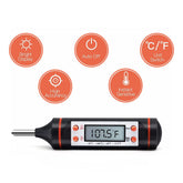 Termómetro Digital de Cocina Punzón